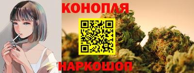 бошки Новокубанск