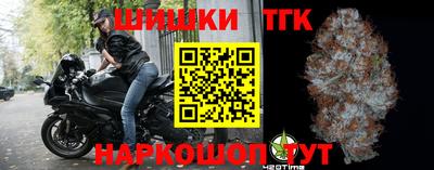 МДПВ Новозыбков