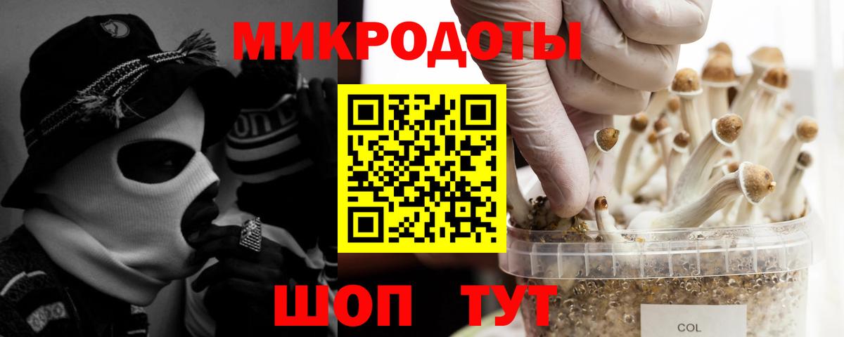 Псилоцибиновые грибы прущие грибы Таганрог