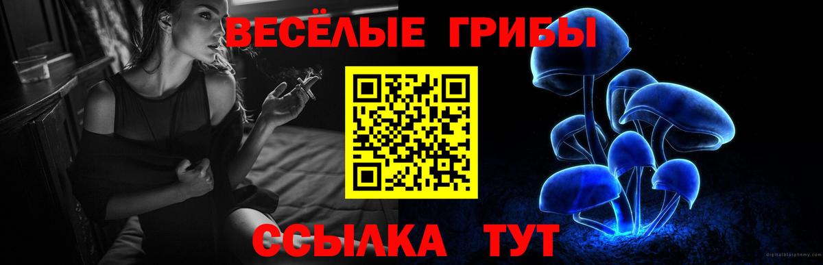 Таганрог  Псилоцибиновые грибы GOLDEN TEACHER  Вход с VPN  Галлюциногенные грибы прущие грибы 